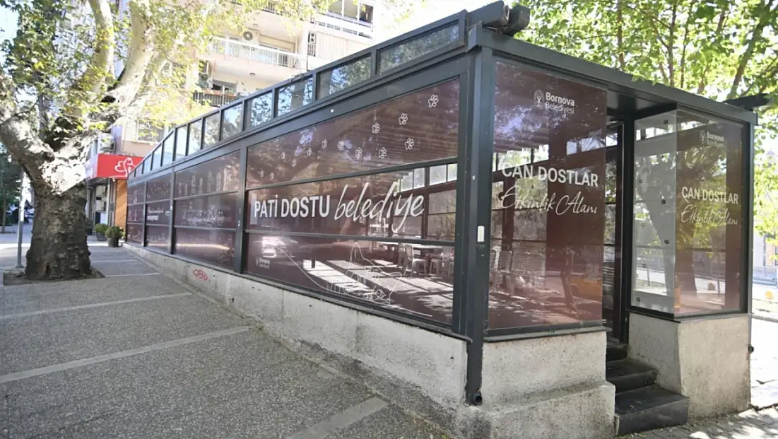 Bornova’da sokak hayvanlarına güçlü destek: Eros kedi kliniği 4 ayda binlerce can dostuna ulaştı