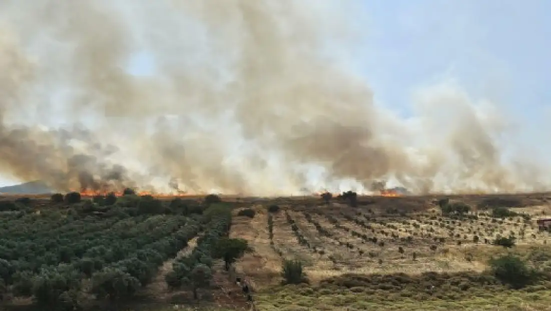 Buca’da İZBAN hattı civarında yangın paniğe neden oldu