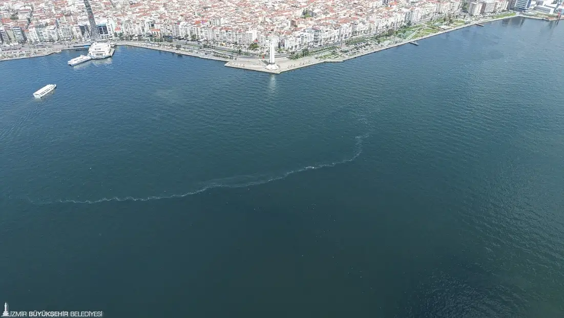 İzmir Körfezi’nde kirlilik tespiti: Dokuzuncu vaka kayda geçti