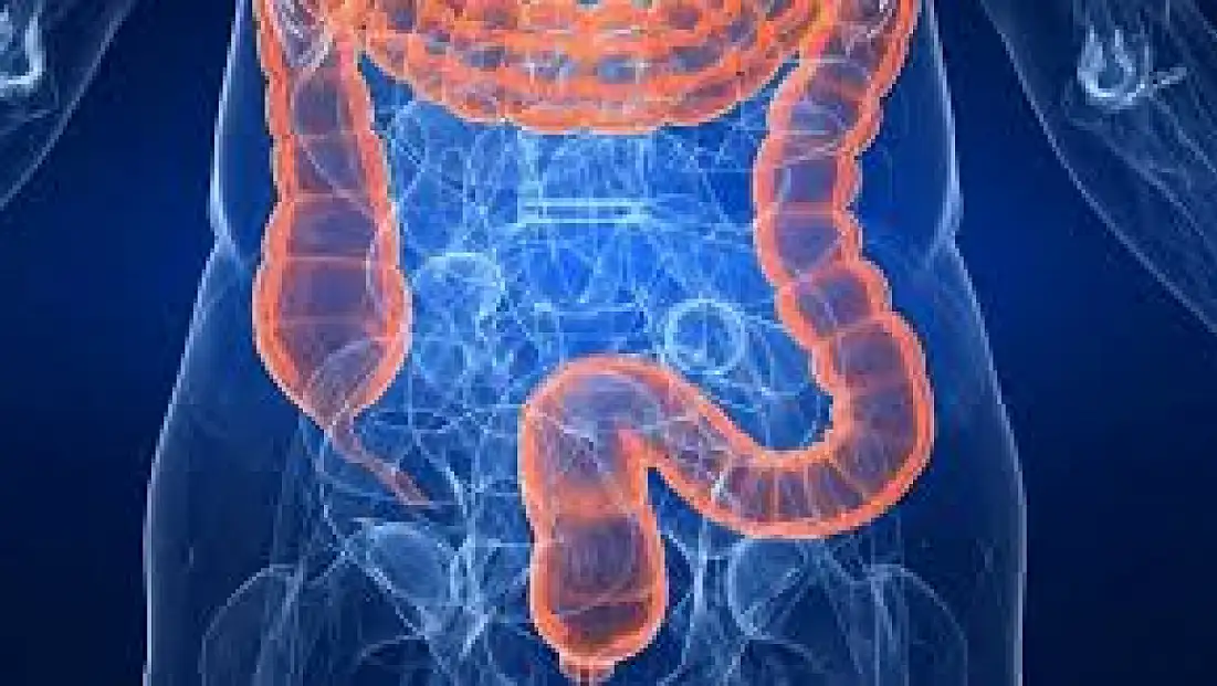 Kolon kanserine karşı erken tarama çağrısı: Kolonoskopi hayat kurtarabilir