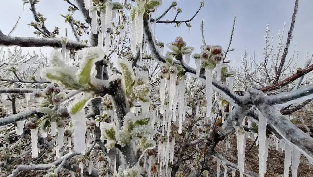Soğuk hava dalgası tarım alanlarını etkileyecek