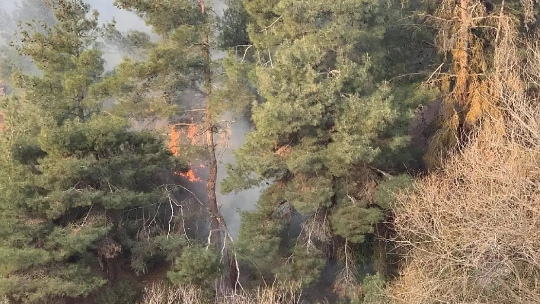 Altındağ'da orman yangını paniği