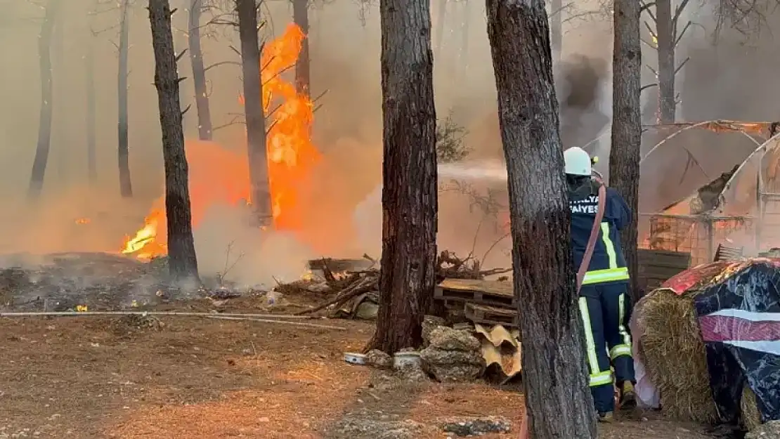 Antalya'da 3 ayrı orman yangını