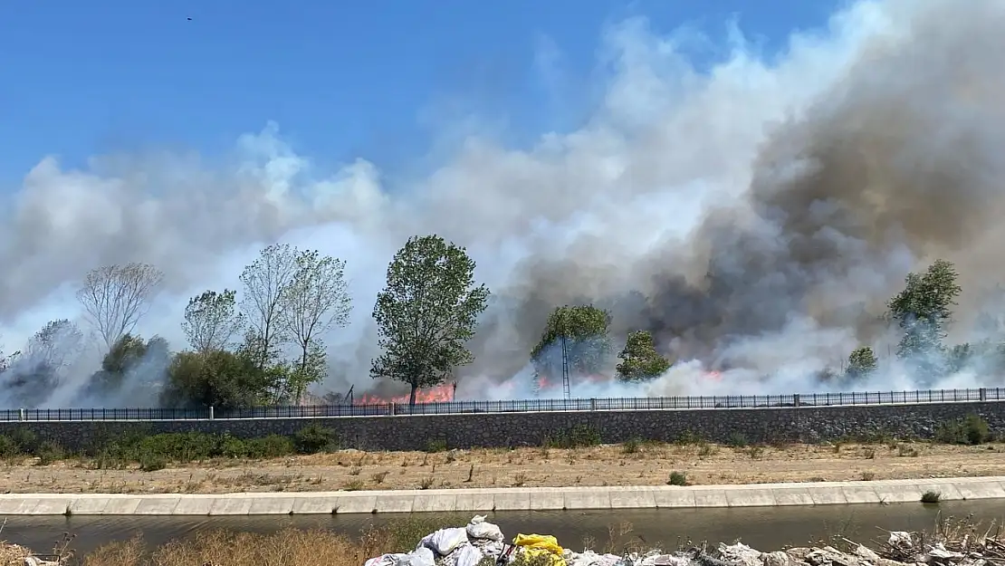 Ayvacık'ta çöplük alanda çıkan yangın ormana sıçradı