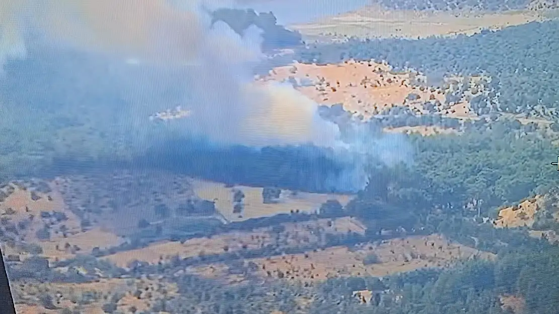 Ayvacık'ta ormanlık alanda yangına, müdahale devam ediyor