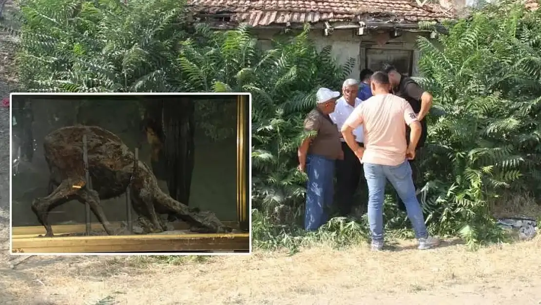 Bir şehir bunu konuşuyor: Keloğlan'ın memleketi neresi?