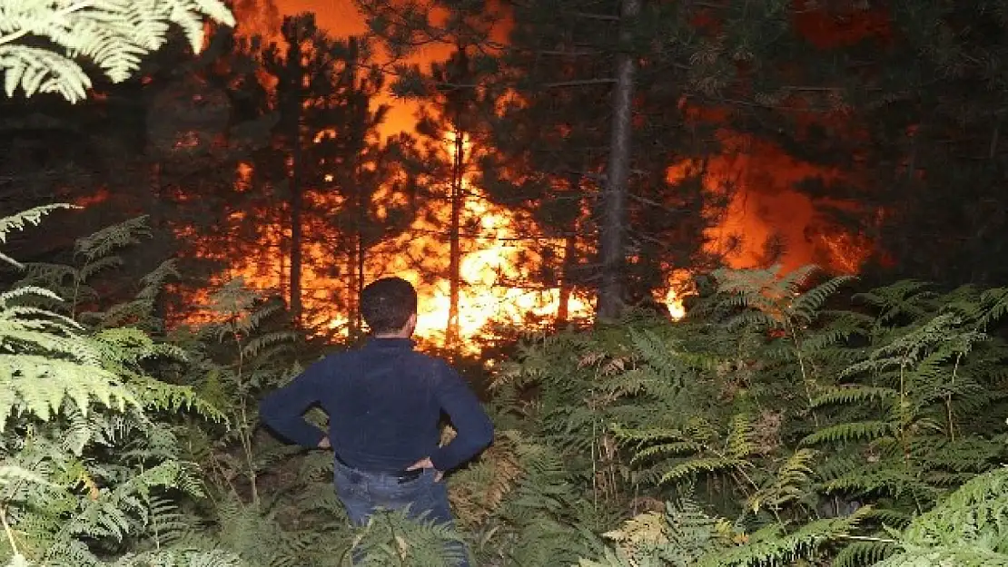Bolu'daki orman yangını 5.saatinde