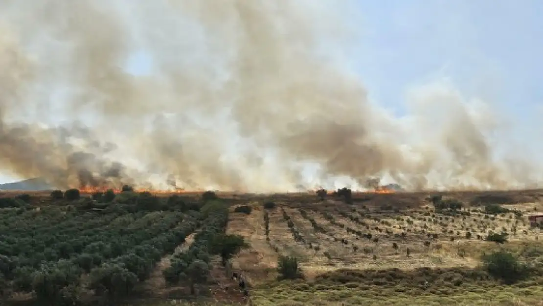 Buca'da İZBAN hattı civarında yangın paniğe neden oldu