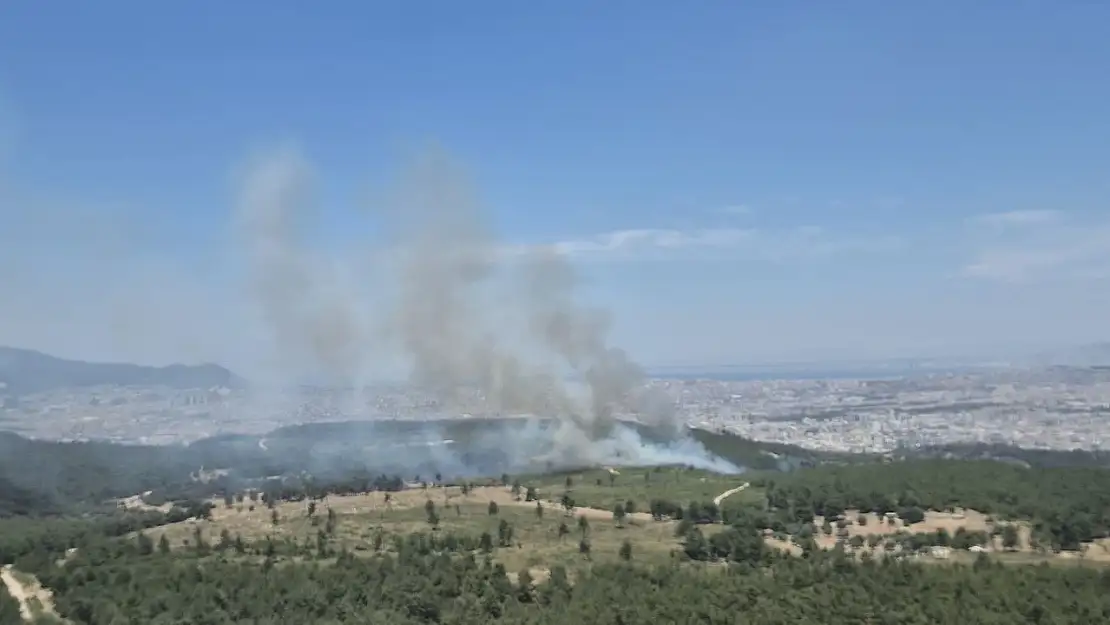 Buca'da orman yangını