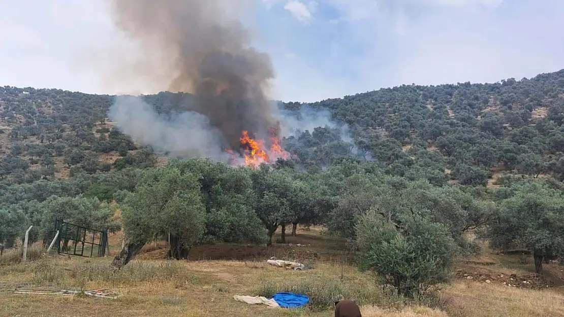 Buca Kaynaklar'da yangın paniği