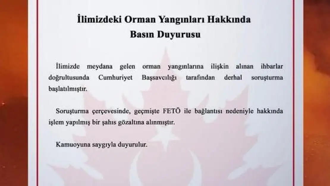 Bursa'daki orman yangını soruşturmasında FETÖ bağlantısı