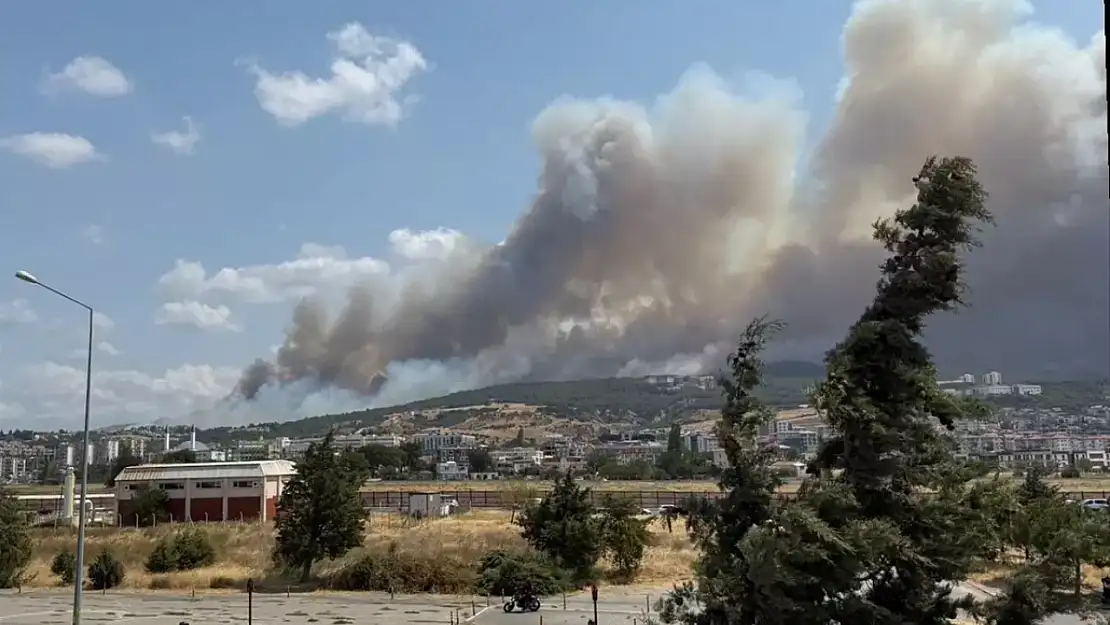 Çanakkale Dardanos'ta orman yangını başladı