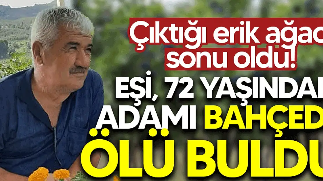 Çıktığı erik ağacı sonu oldu