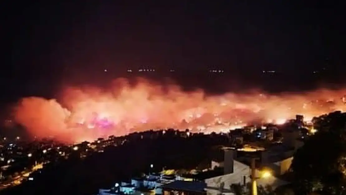 Dikili'de otluk alandaki yangın evlere sıçradı: 11 ev zarar gördü
