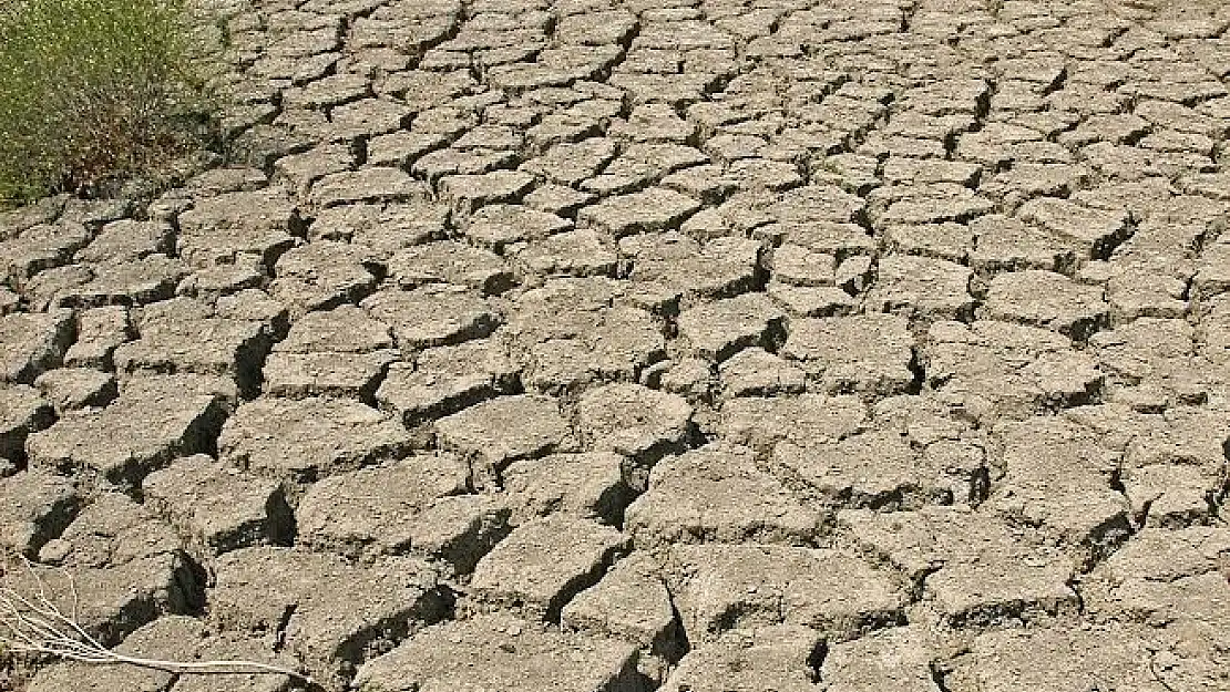 Ege Bölgesi için şiddetli kuraklık alarmı