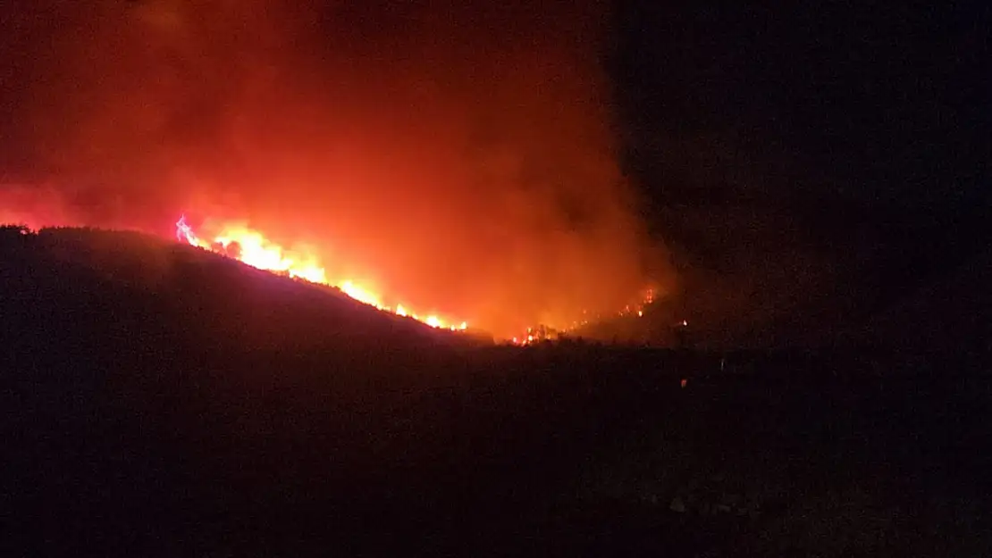 Hatay'da orman yangınının etkili olduğu bölgede evler tahliye ediliyor