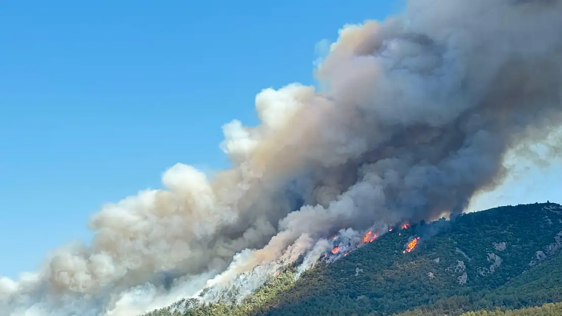 Manisa Soma'da orman yangını ikinci gününde devam ediyor