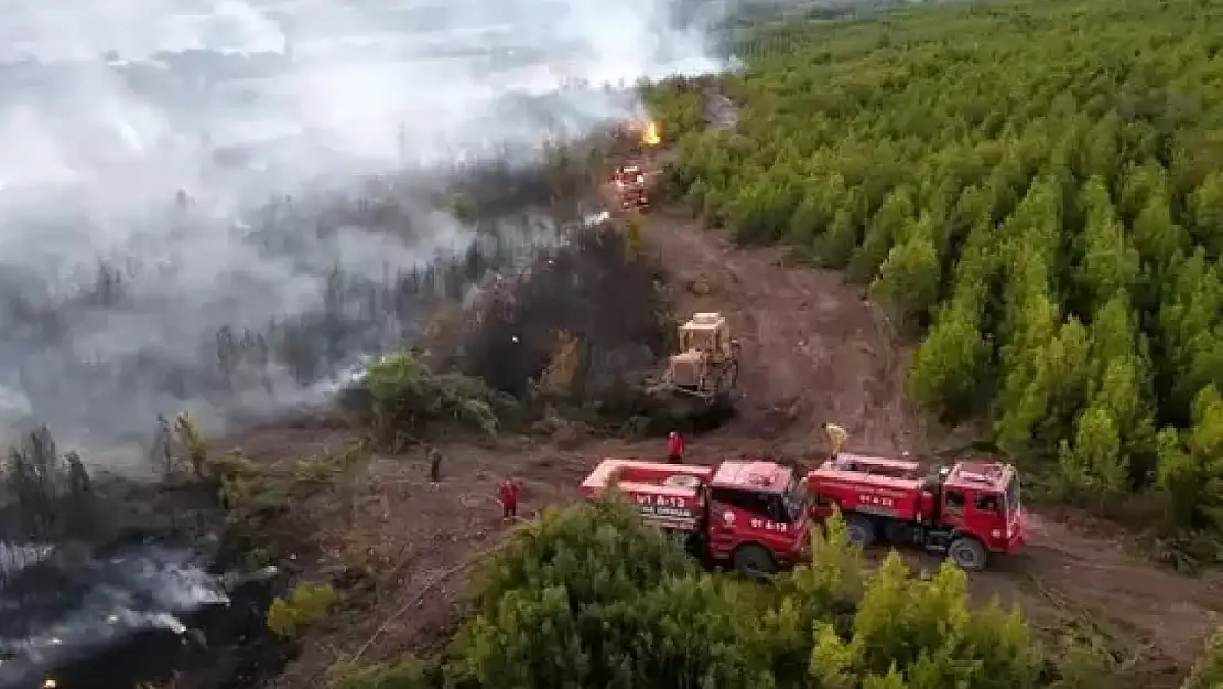 Osmaniye'de orman yangınına müdahale eden araç devrildi: 1 işçi şehit, 1 yaralı