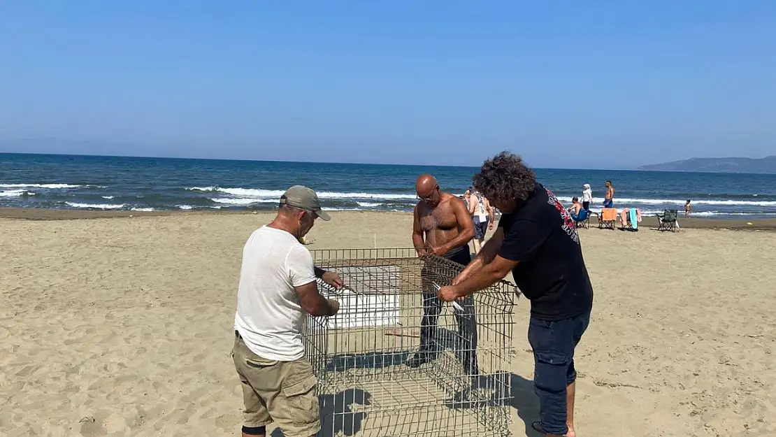 Pamucak Sahilinde Caretta Caretta Yuvası Koruma Altına Alındı
