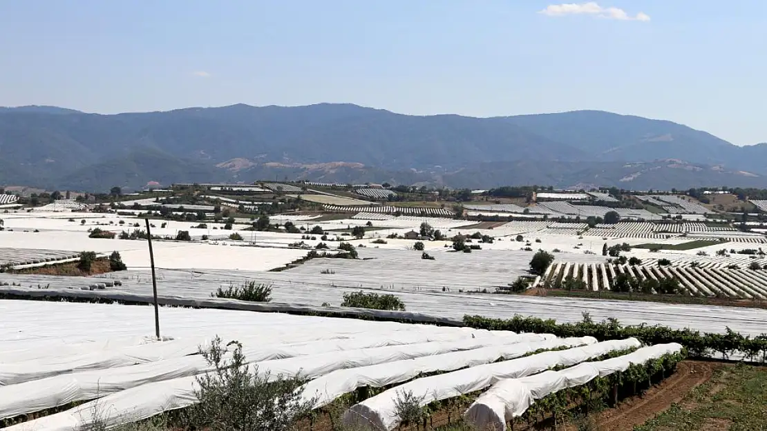Sarıgöl Ovası beyaz gelinliğini giydi