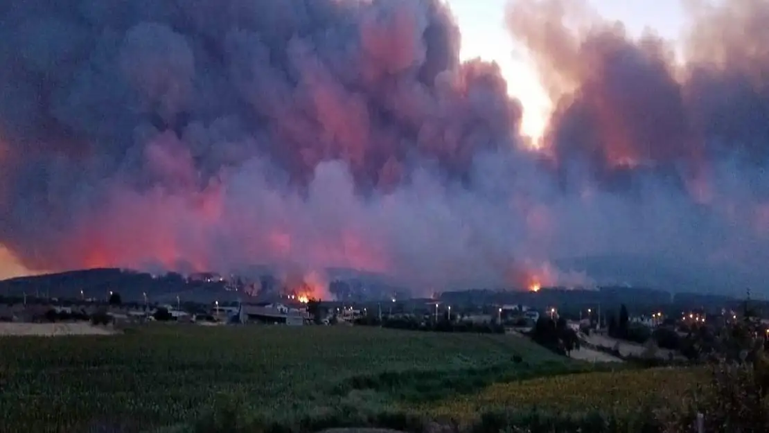 Şarköy'de Orman Yangını Alarmı