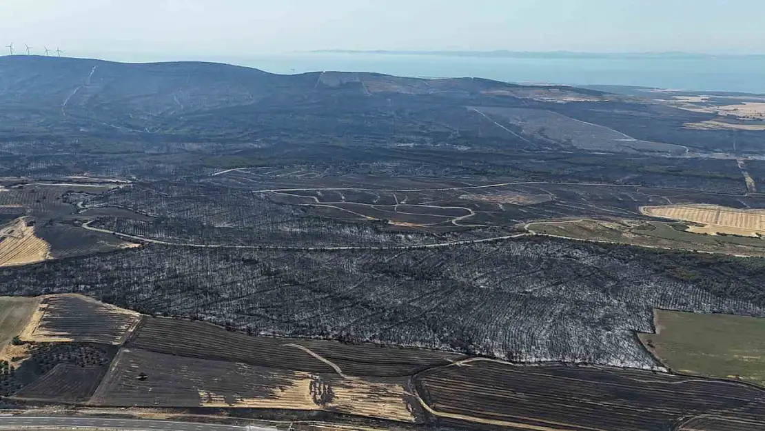 Tekirdağ ve Çanakkale'de orman yangını: 85 hektar alan zarar gördü