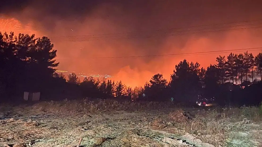 Yine sigara izmariti yine orman yangını!