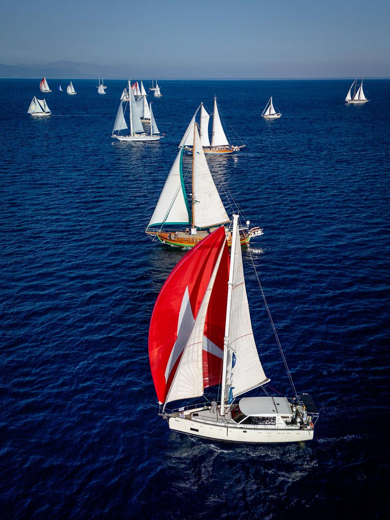 The Bodrum Cup'ta şampiyon 'Daniel 1' oldu