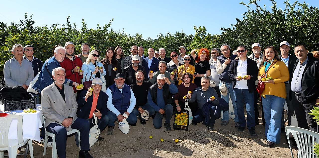 Satsuma mandalinada ihracat sezonu başladı