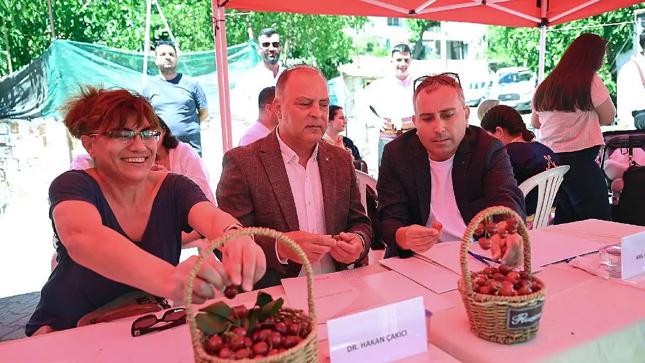 Bornova'da kirazın bereketi festivalle taçlandı