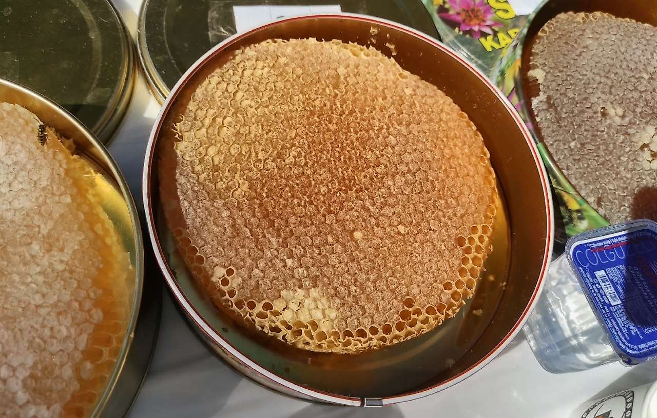 400 bin liraya satılan Sason balının parası üreticilere verildi