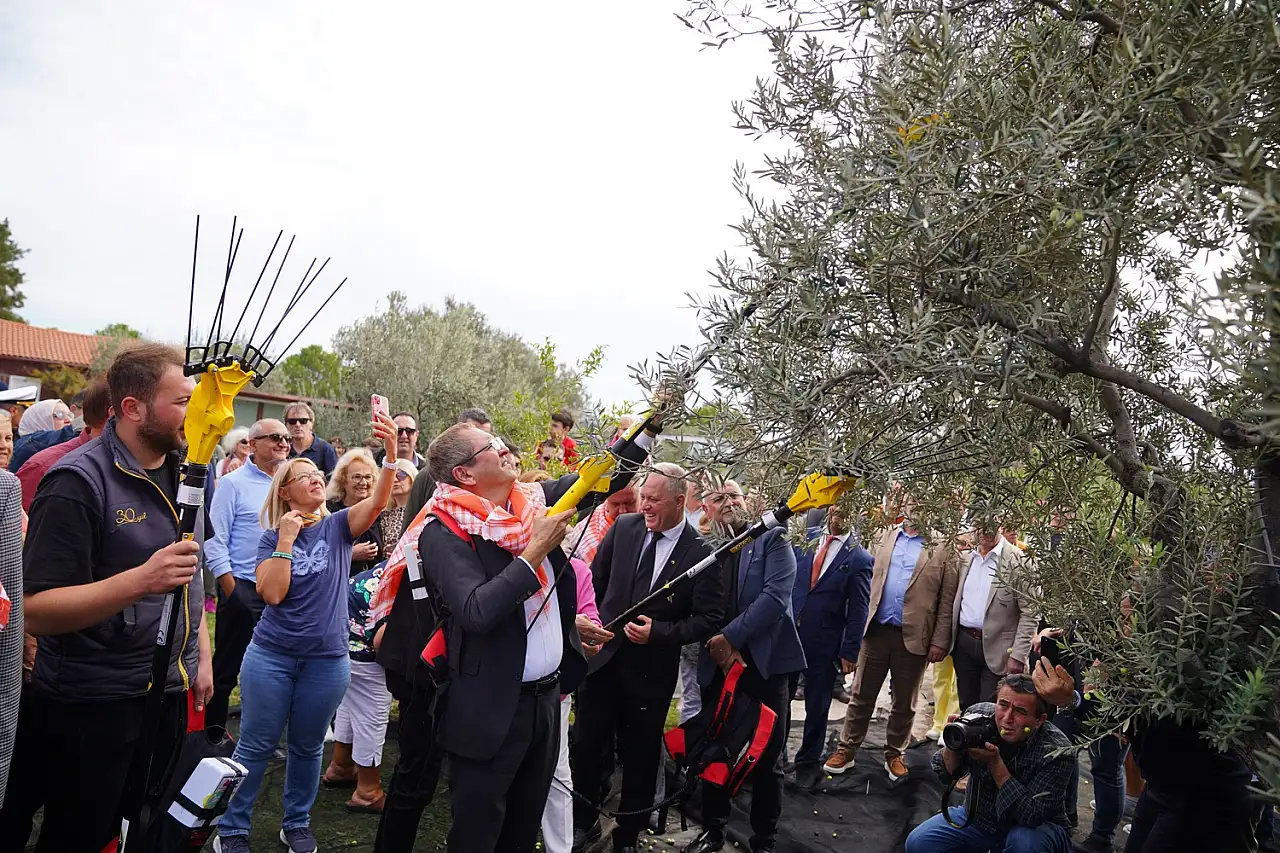 Ayvalık'ta zeytin ve turizmin buluşma noktası: 20. Ayvalık Uluslararası zeytin hasat ve turizm festivali başlıyor