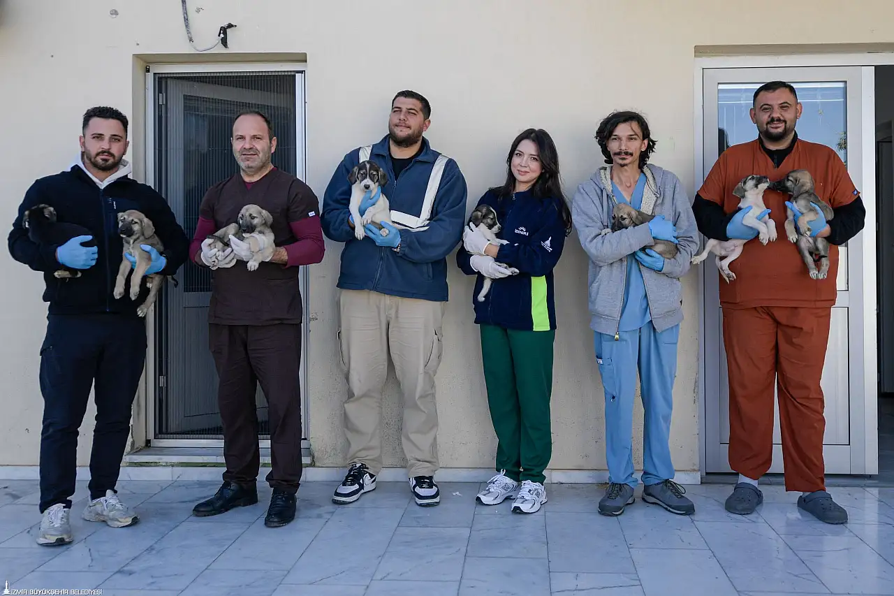 İzmir Büyükşehir Belediyesi, Menemen yangınından kurtarılan hayvanlara sahiplendiriyor