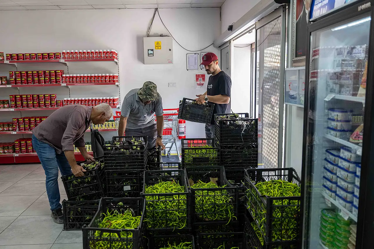 Bornova'ya 30 dönümlük dev kent bostanı