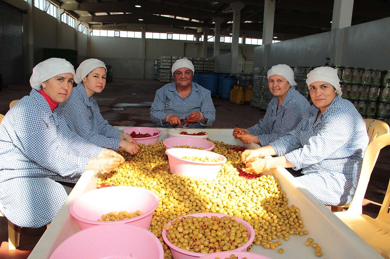 Zeytin ve zeytinyağı ihracatında yüzde 28 düşüş
