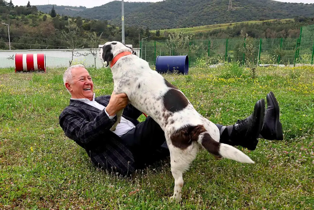 İZSİAD'dan sokak hayvanları için örnek seferberlik