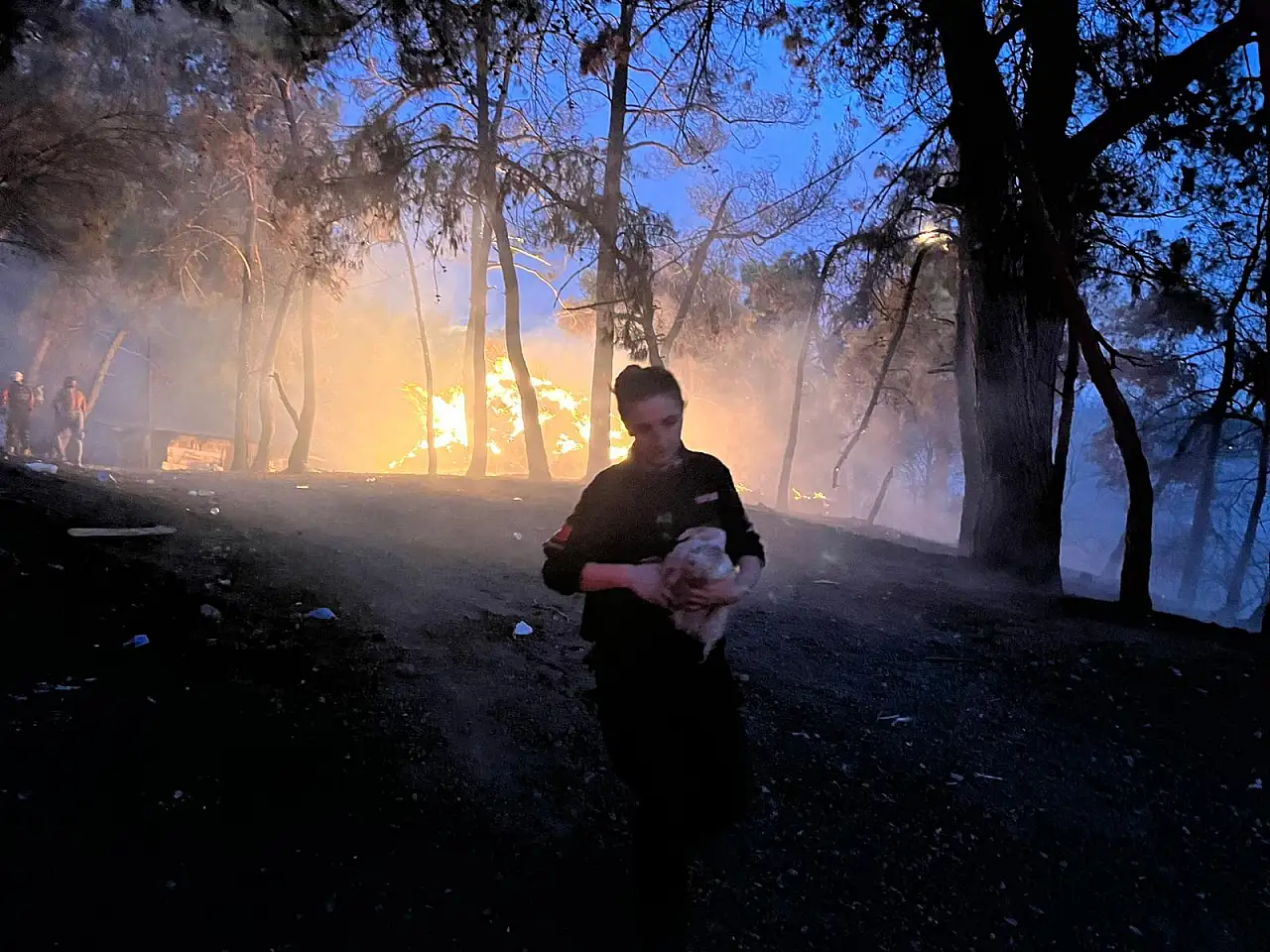 Buca'da gece boyu alevlerle mücadele