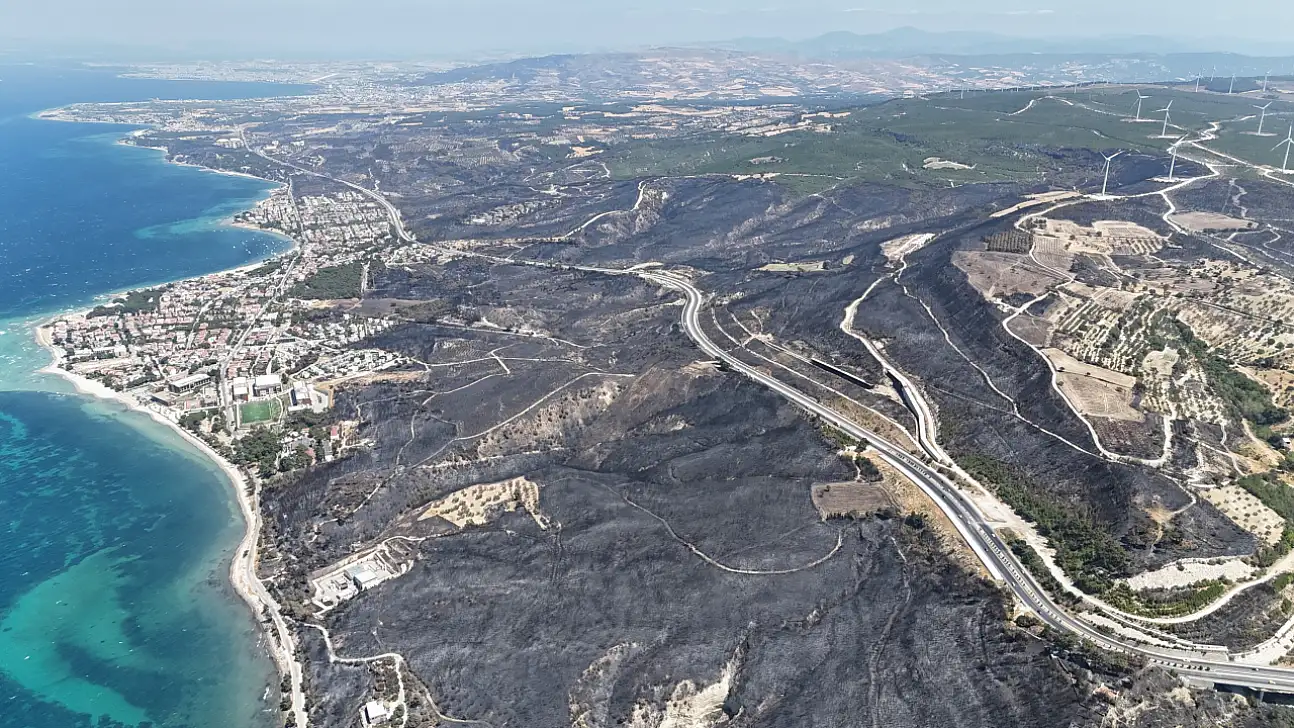 Çanakkale'de 8 günde 4 büyük orman yangını... Kaç hektar alan kül oldu?