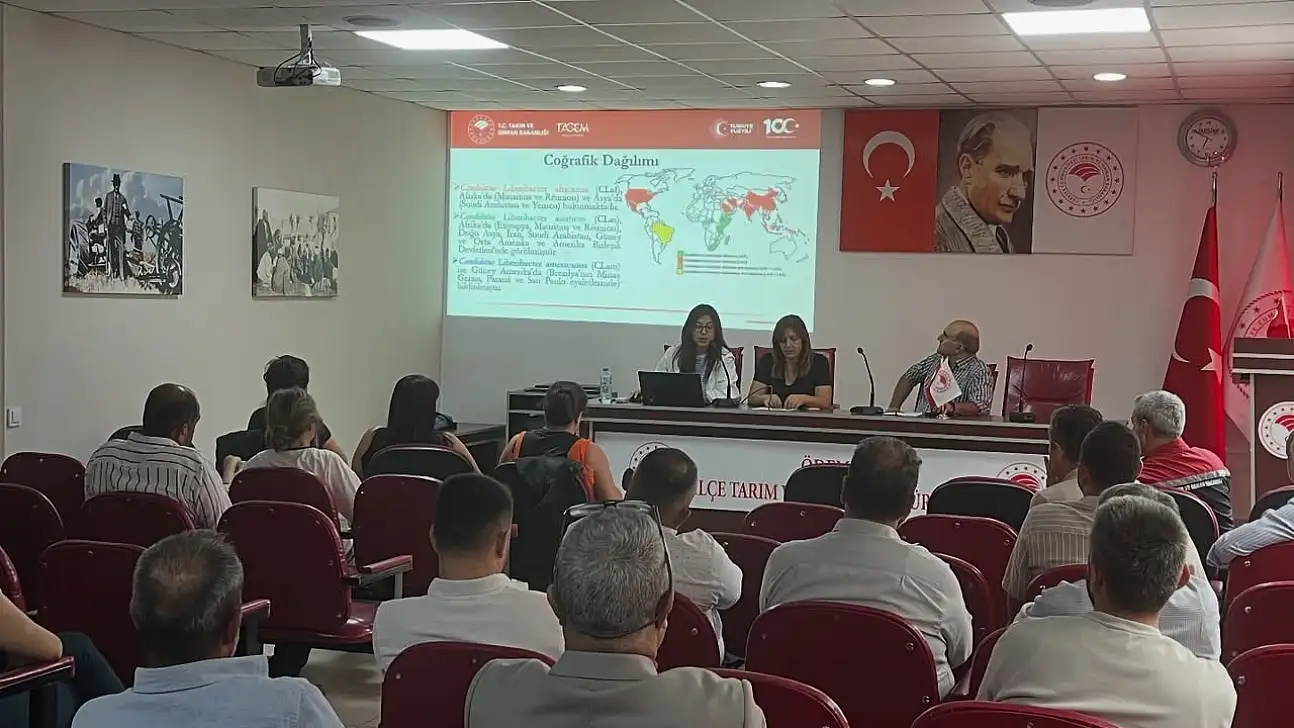 Ödemiş'te fidan üreticilerine turunçgil hastalıkları eğitimi
