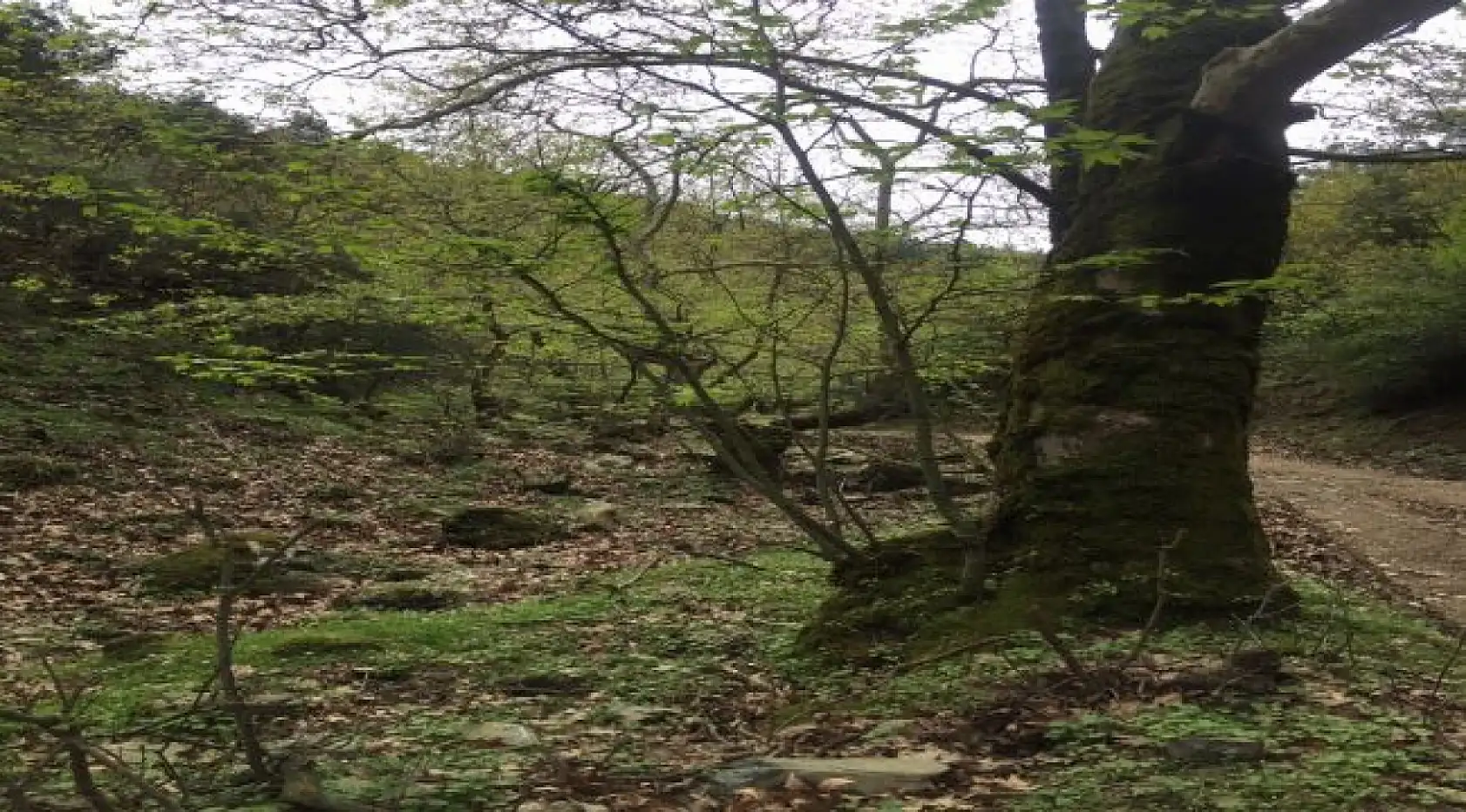 Dededağı'na 1350 metrelik tırmanış