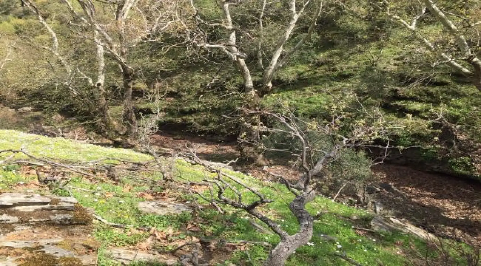 Dededağı'na 1350 metrelik tırmanış