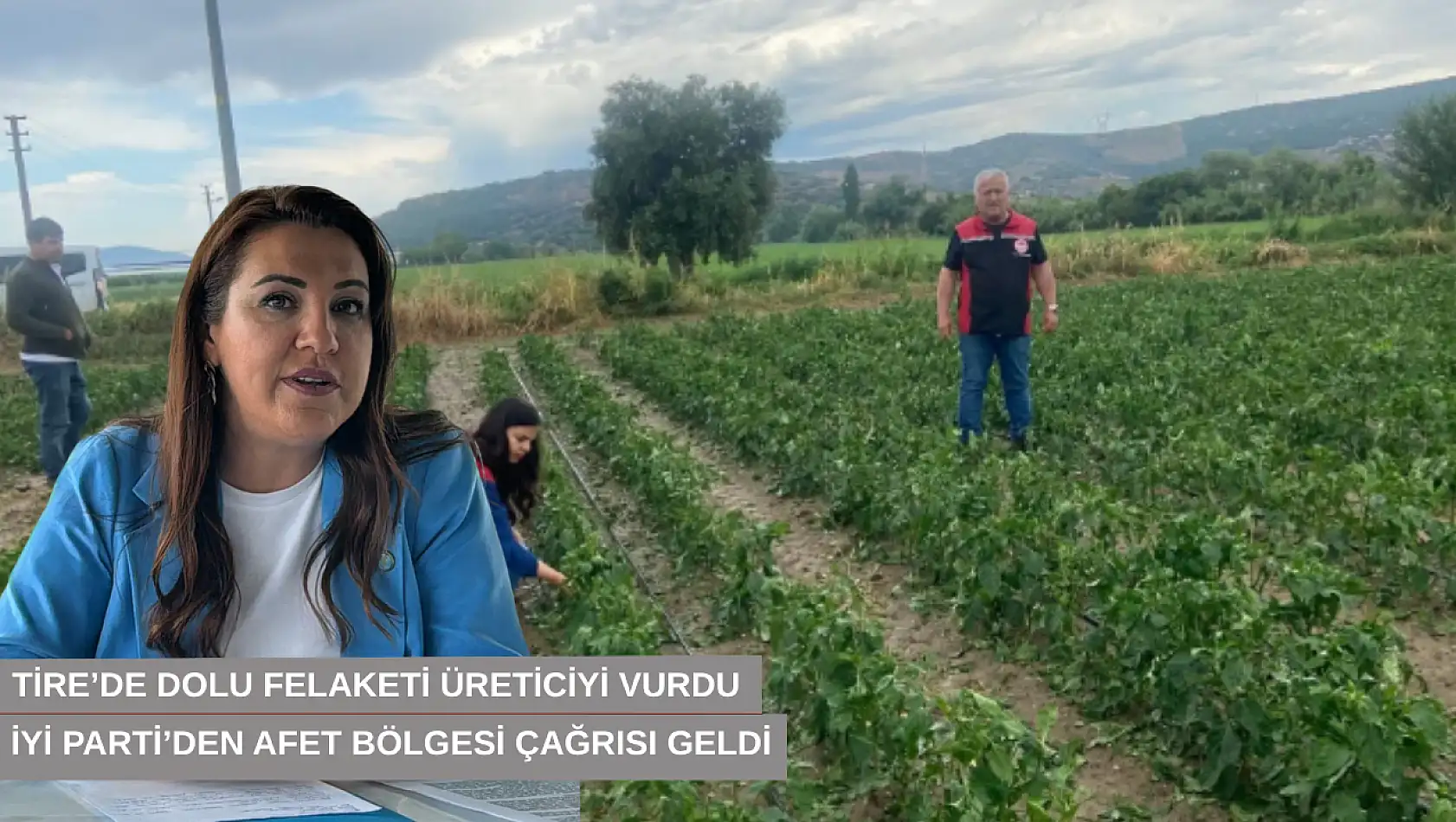 Tire'de dolu felaketi üreticiyi vurdu, İYİ Parti'den afet bölgesi çağrısı geldi