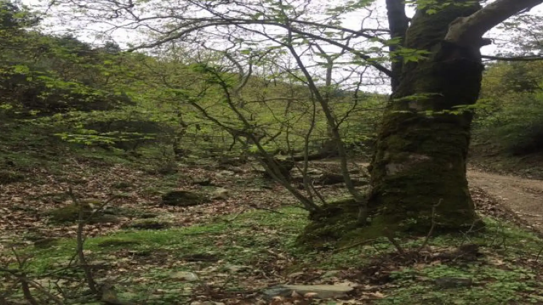 Dededağı’na 1350 metrelik tırmanış