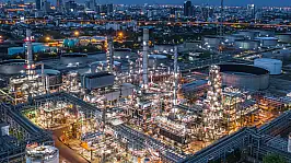 Petrokimya yatırımında geri adım tartışma yarattı: 'Sanayici okyanusta tek başına yüzüyor'