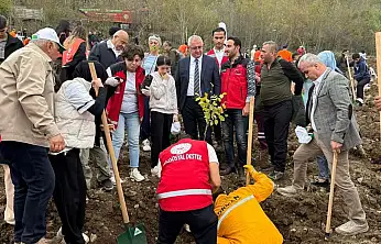 AKAF, milli ağaçlandırma gününde üç ilde fidan dikti