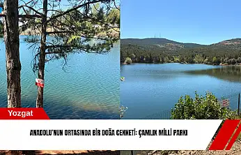 Anadolu'nun ortasında bir doğa cenneti: Çamlık Milli Parkı