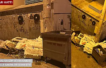 Bayraklı'da çöp ve fan kabusu: Mahalle sakinleri isyan etti