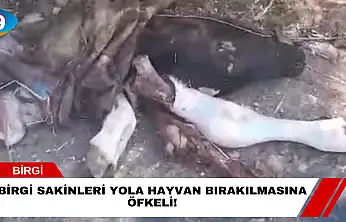 Birgi Sakinleri Yola Hayvan Bırakılmasına Öfkeli!