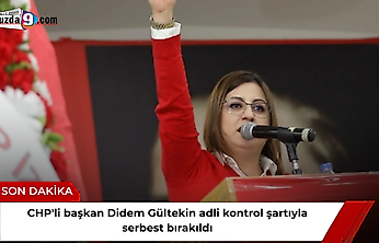 CHP'li başkan Didem Gültekin adli kontrol şartıyla serbest bırakıldı