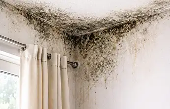 DEÜ'lü uzmandan kritik uyarı: Evlerdeki nem ve küf ciddi hastalıklara davetiye çıkarıyor